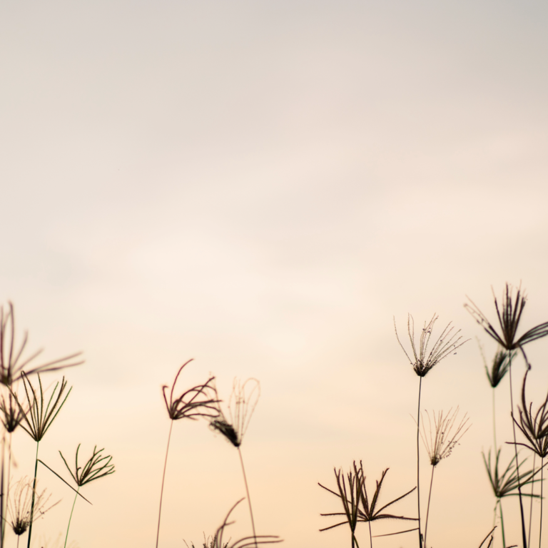rust, natuur, zen, vertrouwen, hulp