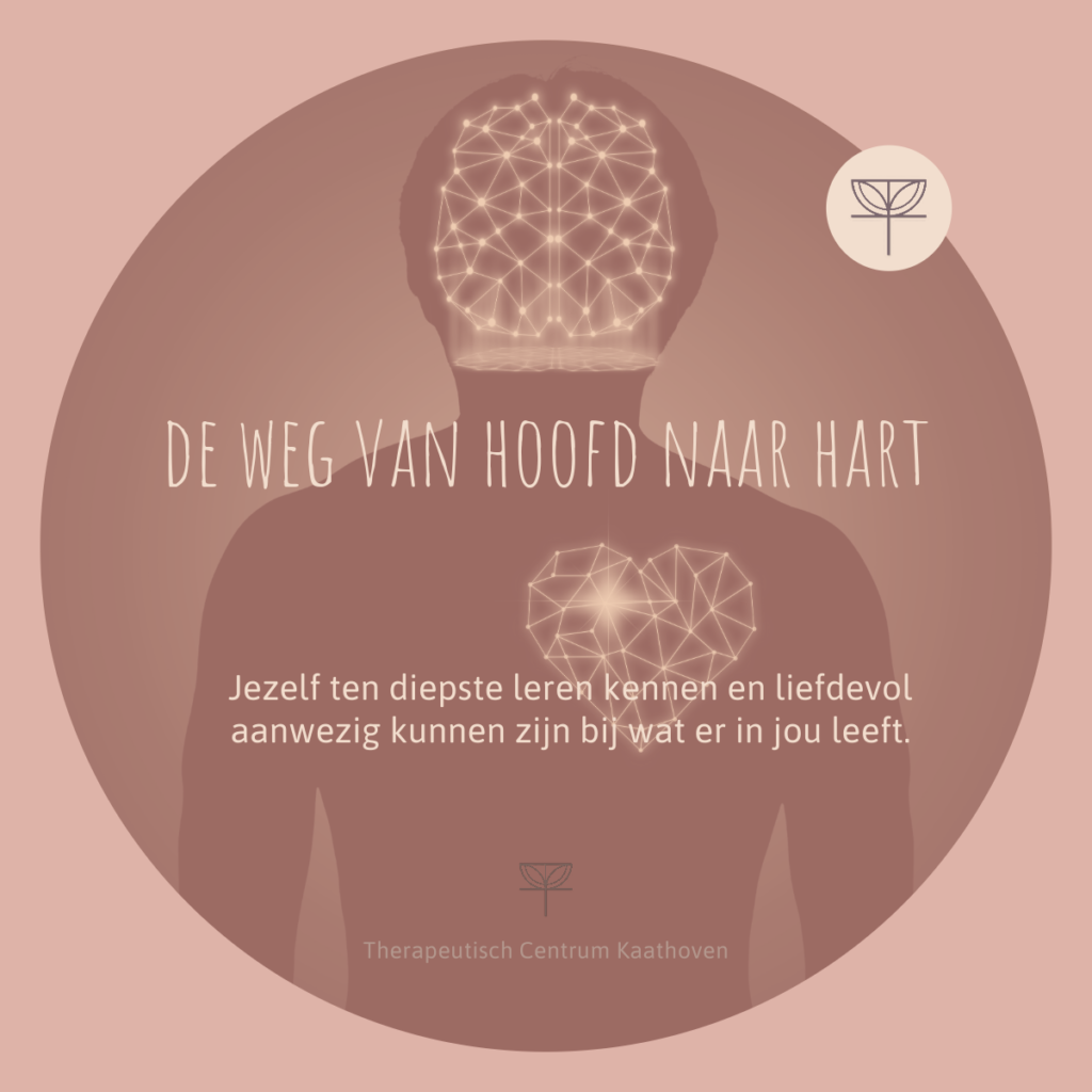 Artikel De weg van hoofd naar hart Therapeutisch Centrum Kaathoven Artikel TCK Aanbod TCK