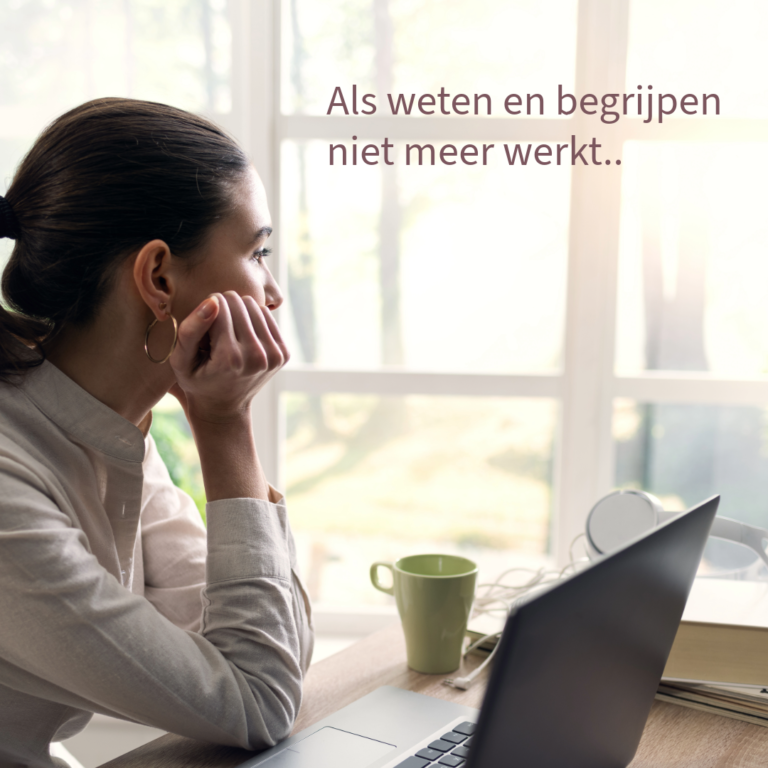 Masterclass Als weten en begrijpen niet meer werkt, Therapeutisch Centrum Kaathoven, Katja Braspenning